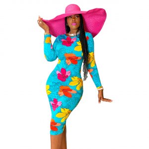 Printed Long Sleeve Round Neck A-line Skirt Fall Dresses For Women – Dropshipping Available
