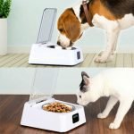 Infrared Sensor Automatically Opens Cover Cat and Dog Feeder Smart Pet Food Bowl_6