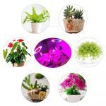 USB Interface LED Full Spectrum Plant Growth Phyto Lamp_5