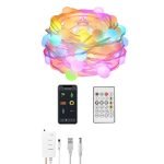 Remote Controlled Smart LED String Holiday Fairy Ball Lights_3